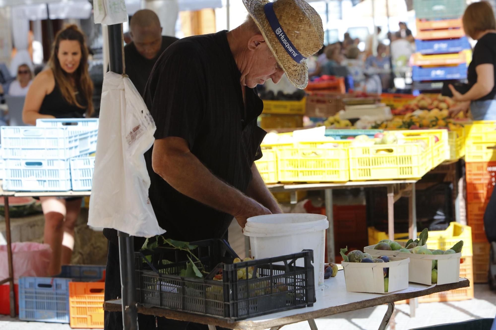 Erkennen Sie, welcher Wochenmarkt auf Mallorca das ist?