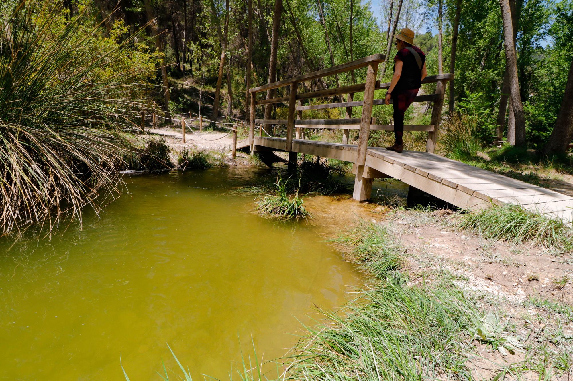 Los parajes de Alcoy se convierten en un reclamo turístico tras las lluvias de marzo y abril