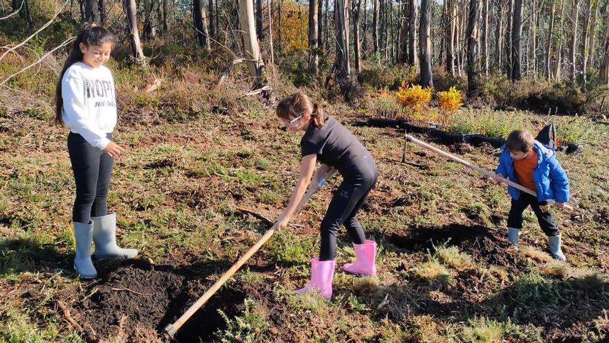 Un grupo de estudiantes durante una de las plantaciones del proyecto Plantatón.