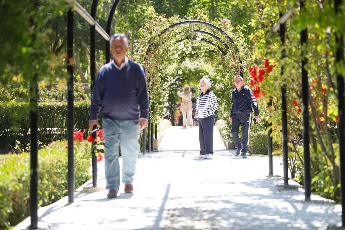 En imágenes | Presentación del Zaragoza Florece en el Parque Grande José Antonio Labordeta