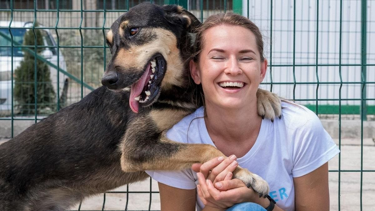 Todo lo que necesitas saber si quieres adoptar una mascota en Pozuelo de Alarcón