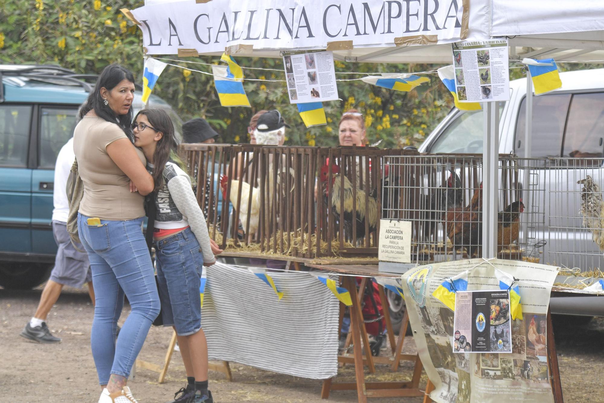 Feria de Ganado en Arucas