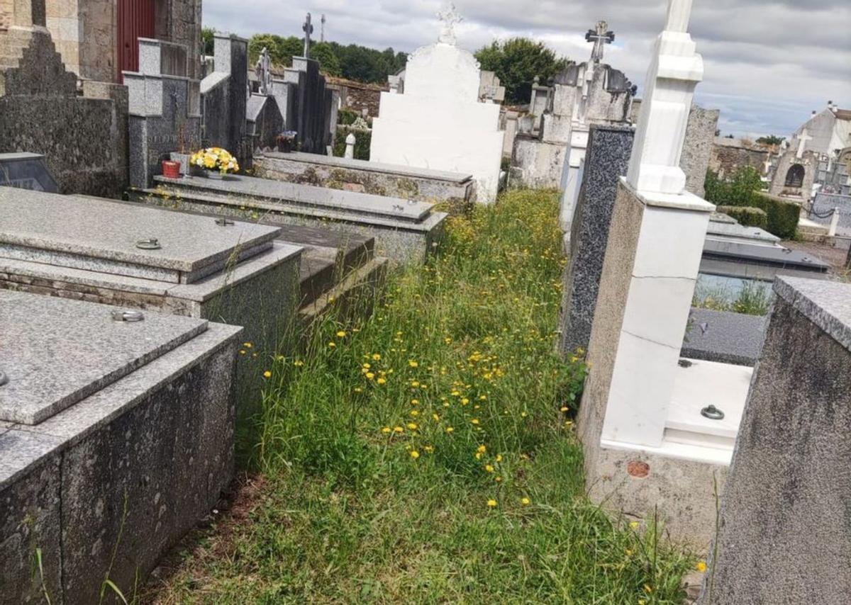 Mario López critica el abandono del cementerio antiguo de Lalín