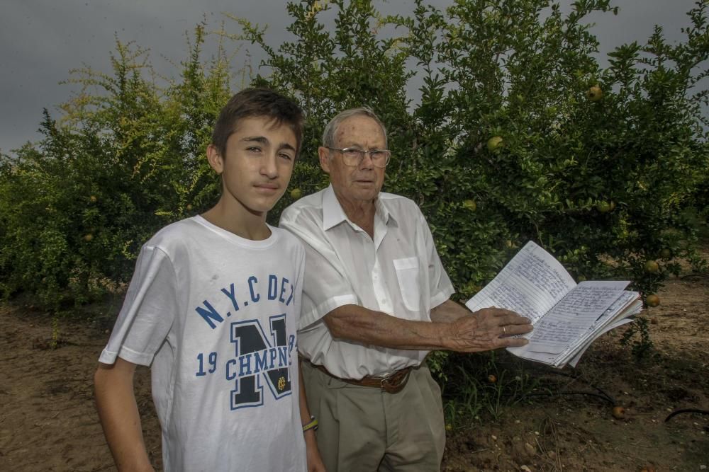 Cabañuelas: predicción del tiempo en Elche