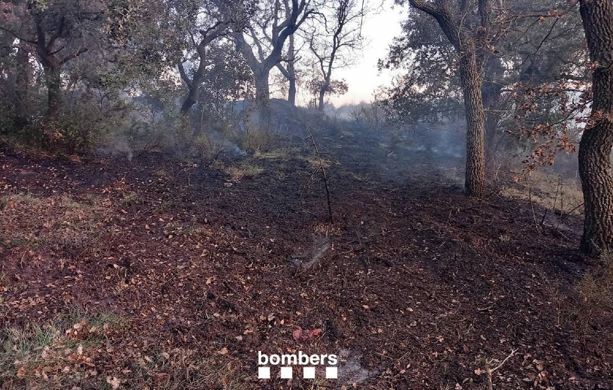 Efecte de les flames a Olius, que han afectat uns 300 metres de massa forestal