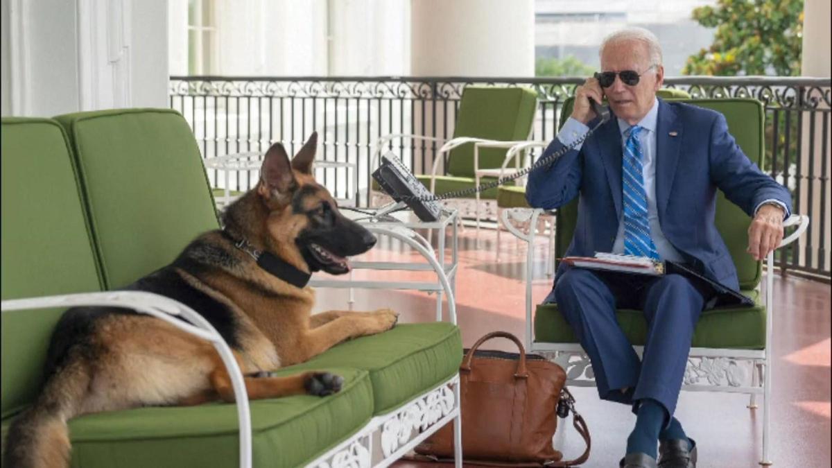 Expulsan al perro de Biden por morder a varios empleados de la Casa Blanca