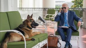 Expulsan al perro de Biden por morder a varios empleados de la Casa Blanca.