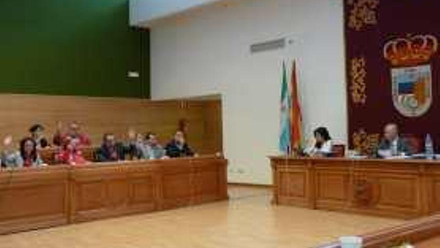 Imagen del pleno celebrado ayer en Torremolinos.