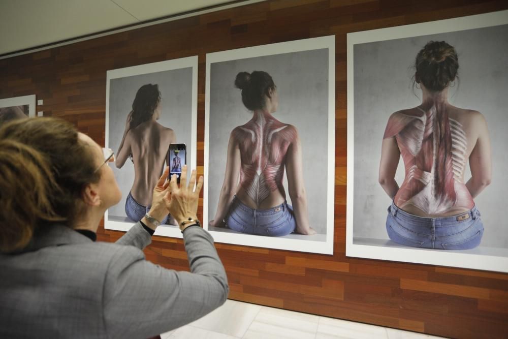 Exposición sobre 'bodypainting' en la Facultat de Medicina