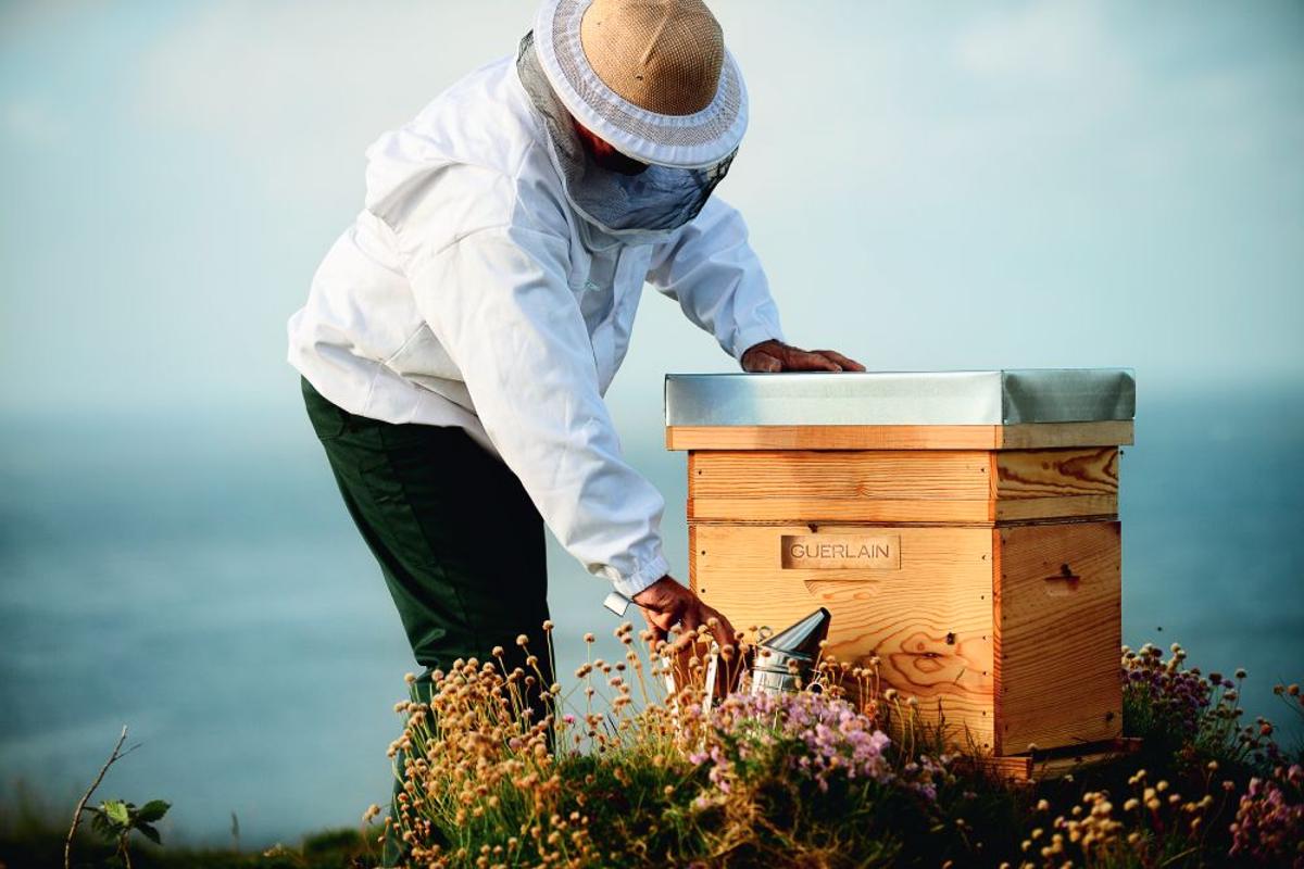 Premio Compromiso Sostenible: Guerlain for Bees Conservation Program