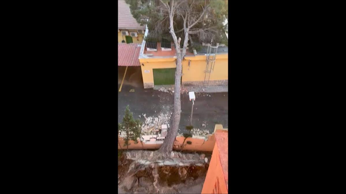Cae un pino de 30 metros en Torrent por el viento