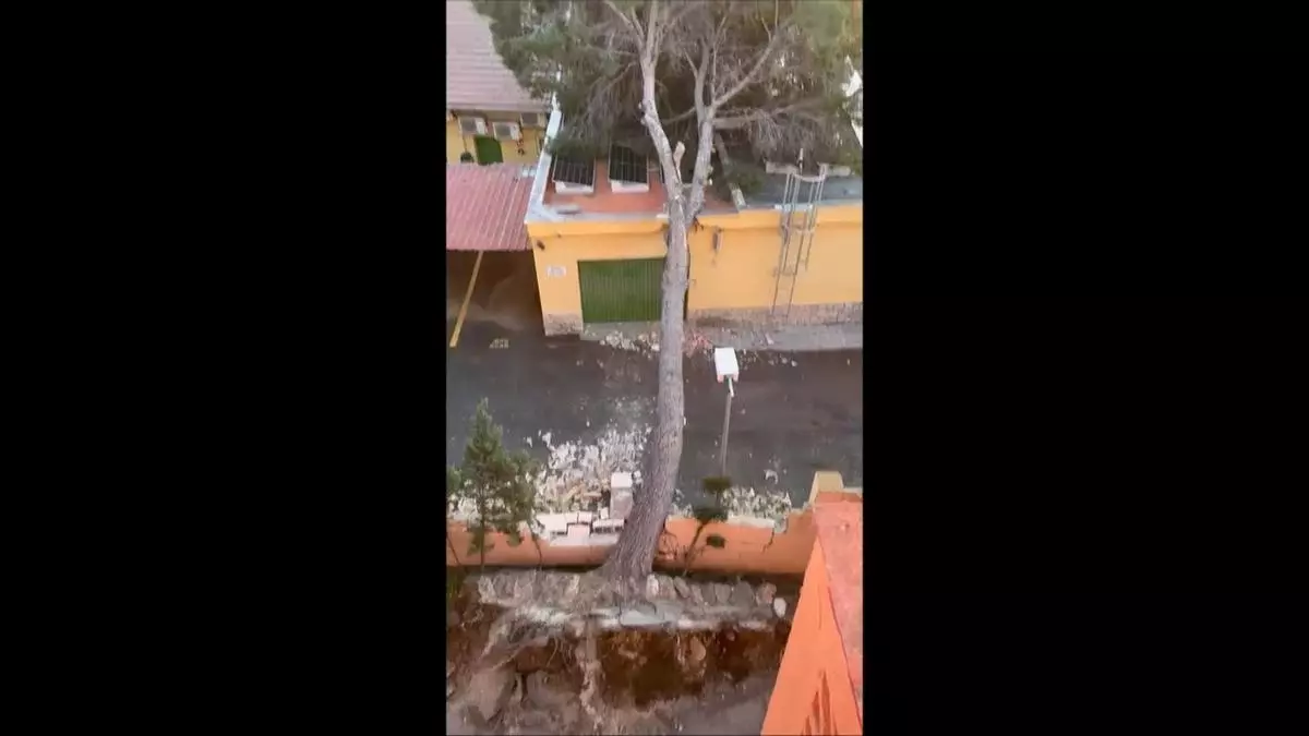 Emergencias gestiona más de 500 incidentes relacionados con el viento en las últimas 24 horas