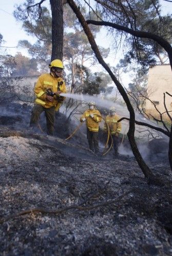 Incendi forestal a peu de les Gavarres