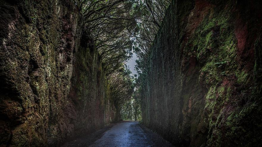 No es un decorado de cine: el rincón secreto de Tenerife que parece sacado de un mundo fantástico