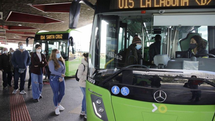Santa Cruz and La Laguna ask that the bus and tram service be free