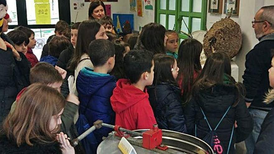 Visita de escolares cullerdenses al apiario urbano de O Burgo.