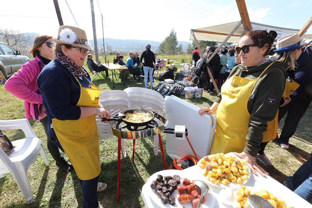 El pueblo de Corona se suma a la carrera por los concursos gastronómicos y se erige en baluarte mundial del popular plato ibicenco.
