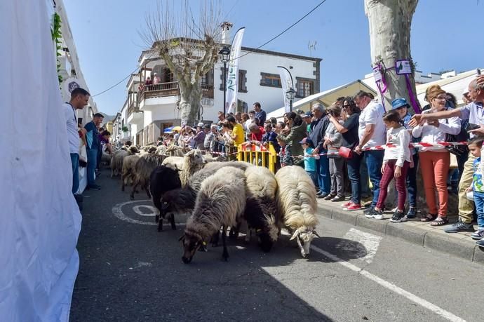 08-03-2020 VALLESECO. Feria del Queso y ruta trashumante femenina en el Cruce de Cueva Corcho. Fotógrafo: ANDRES CRUZ  | 08/03/2020 | Fotógrafo: Andrés Cruz