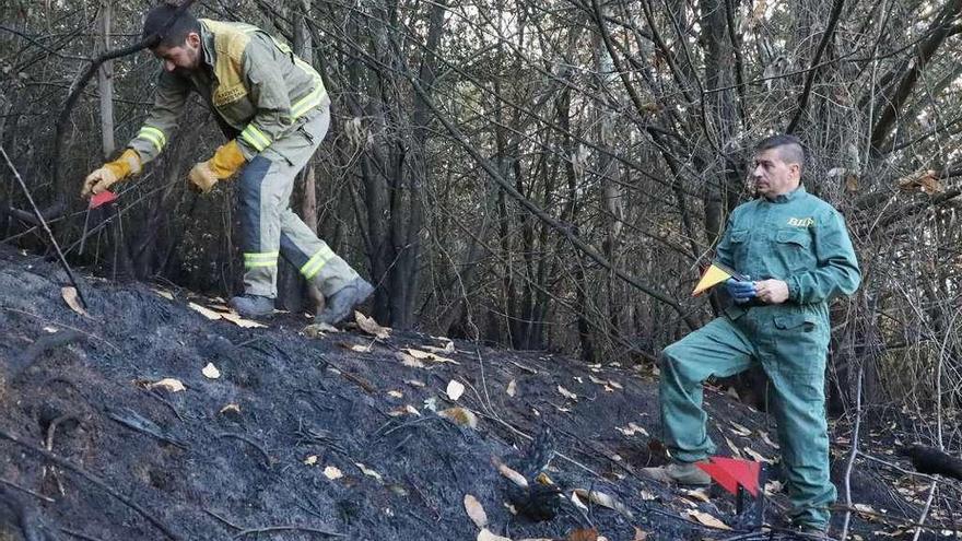 Dos agentes medioambientales, durante la inspección del terreno tras un incendio en O Pino.