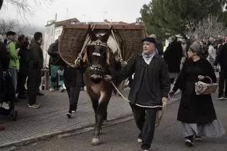 Festa dels Traginers de Balsareny