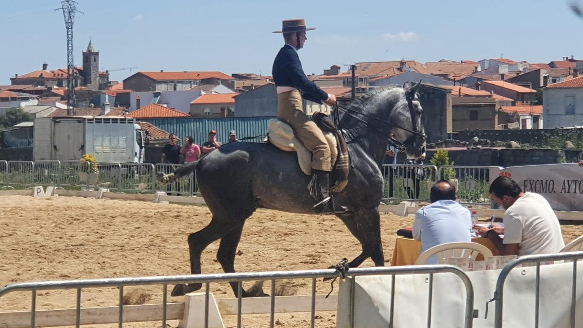 El jurado valora las evoluciones de jinetes y cabalgaduras en la pista central.
