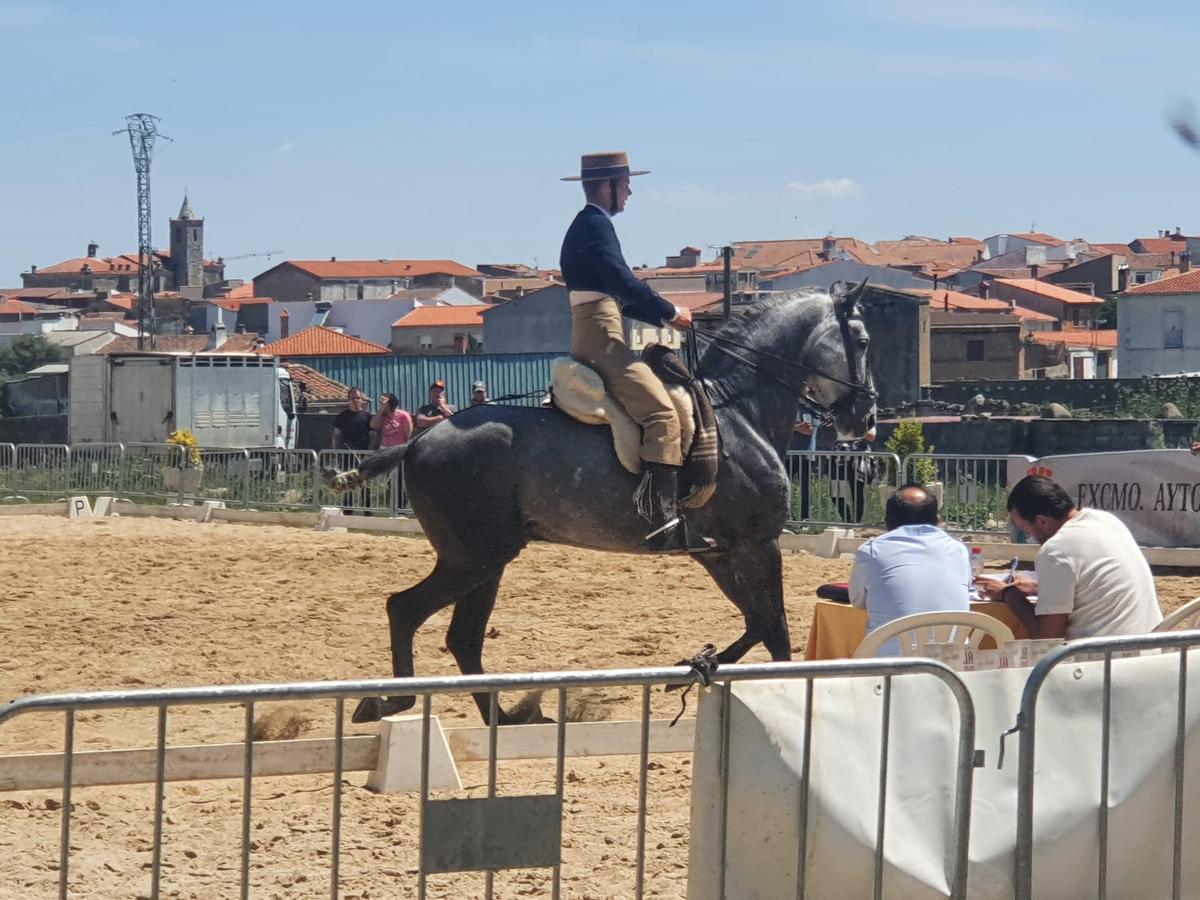 El jurado valora las evoluciones de jinetes y cabalgaduras en la pista central.