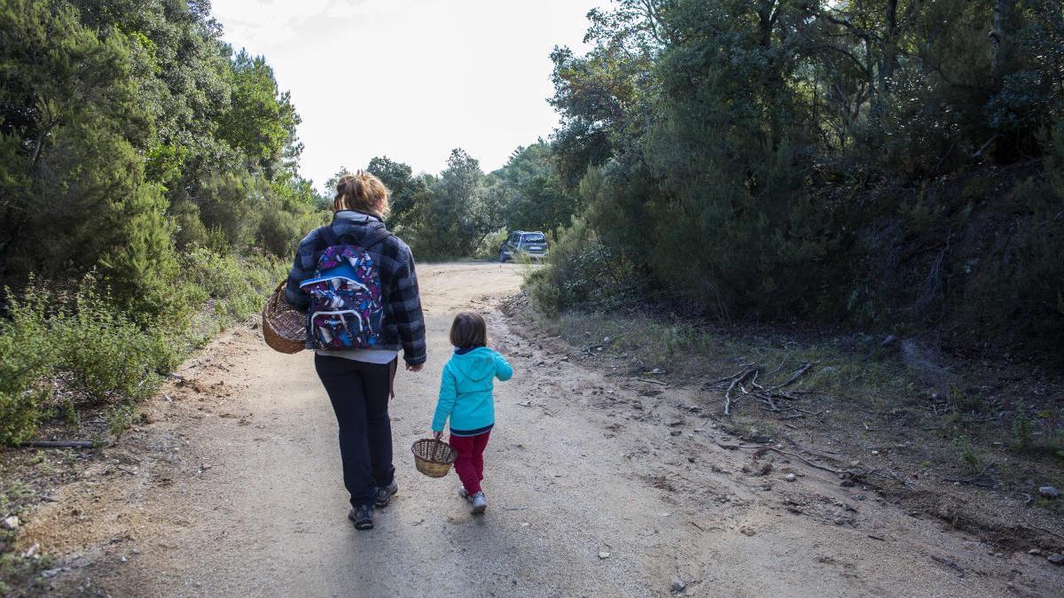 L&#039;activitat atrau més gent que busca el contacte amb la natura enmig de la Covid