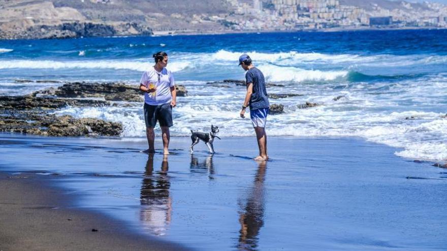 Dos bañistas disfrutan de la playa con su perro en la playa de La Gaviota. | | JOSÉ CARLOS GUERRA
