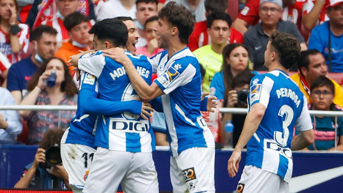Los jugadores del Espanyol celebrando en el Wanda el gol de De Tomás
