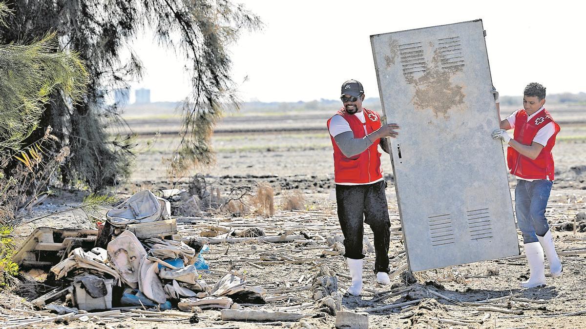 Voluntarios de Cruz Roja realizan una limpieza de residuos en l'Albufera.