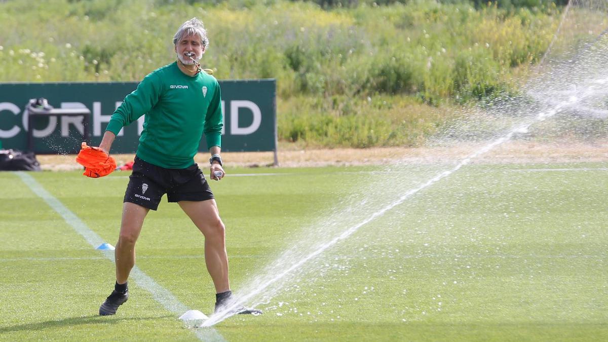 Pablo Alfaro, entrenador del Córdoba CF, en la Ciudad Deportiva.