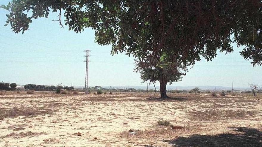 Vista panorámica de la zona que ocupará el macroplán urbanístico de La Hoya