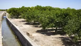 Una agricultura planificada y sostenible para salvar el campo