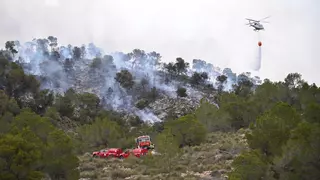 Estabilizado el incendio forestal declarado en Algueña