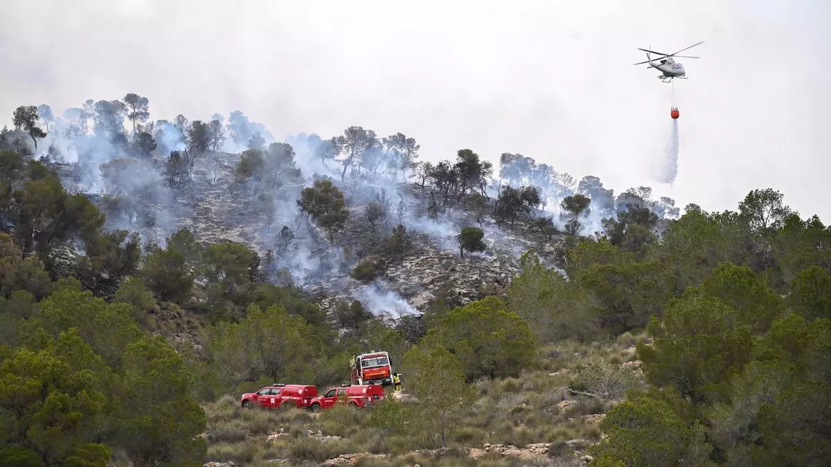 Dan por controlado el incendio forestal de Algueña tras quemar 8 hectáreas