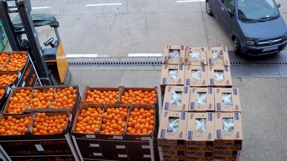 Asaja hará un reparto gratuito de naranjas en protesta por los bajos precios para los citricultores