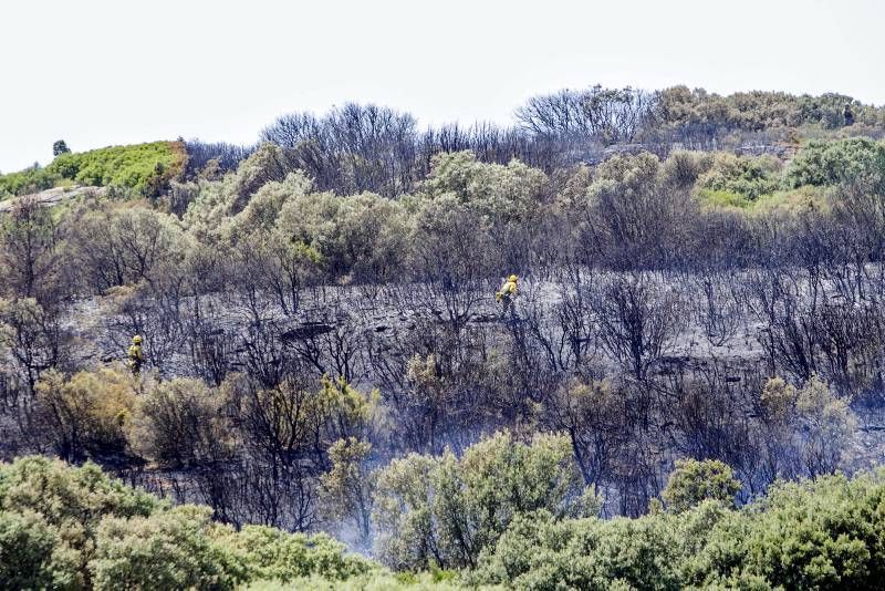 Fotogalería del incendio de las Cinco Villas