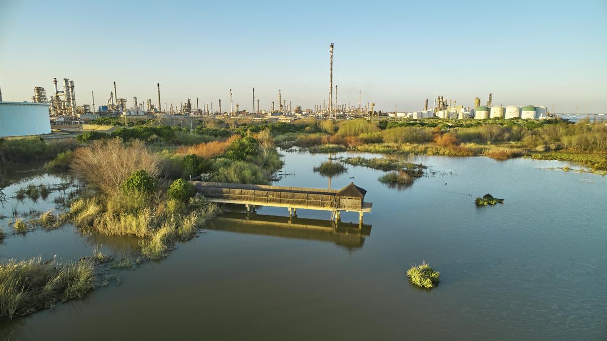 Laguna Primera de Palos.