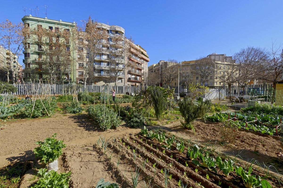 Ahorrar es uno de los atractivos que ofrecen los huertos urbanos.