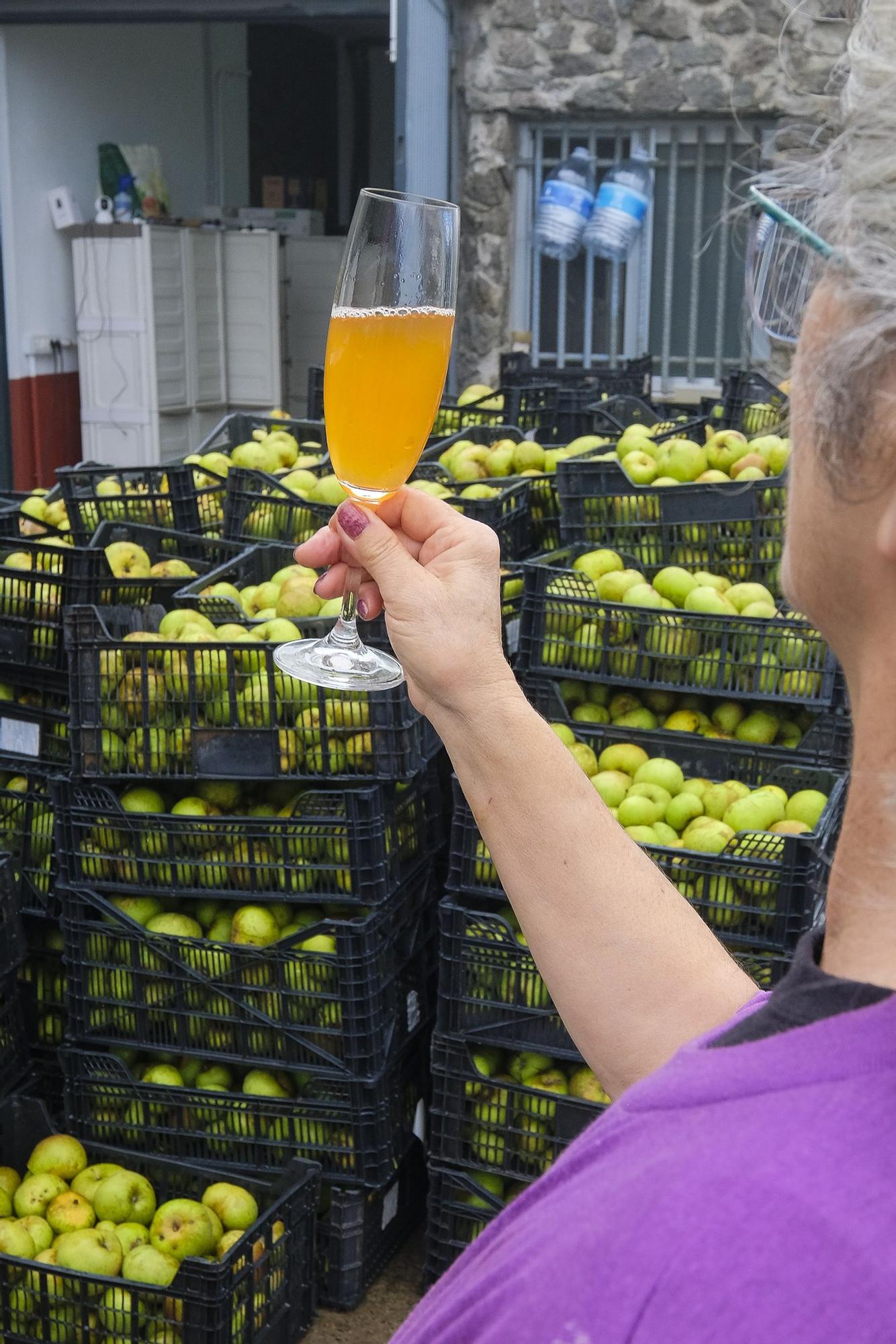 Un chubasco de manzanas