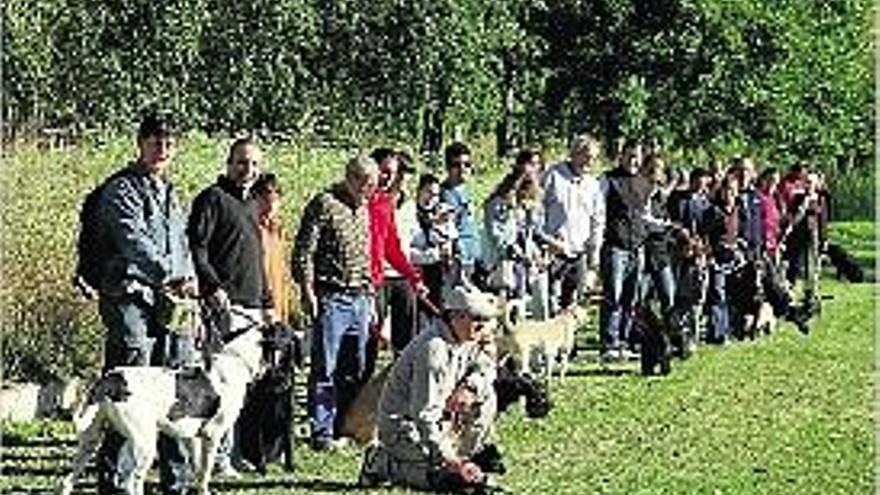 Banyoles Volen habilitar un espai per a gossos