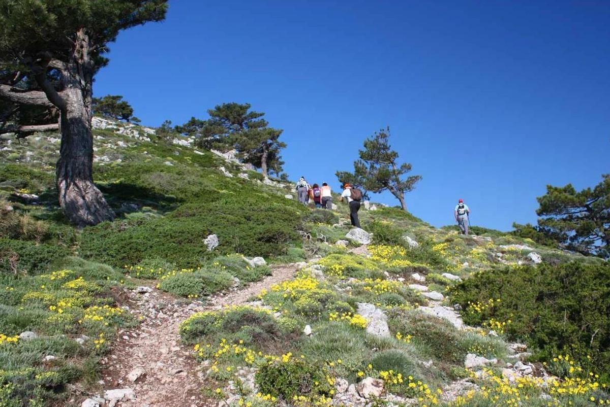 El pueblo de Granada repleto de naturaleza y gastronomía perfecto para una visita desde Málaga