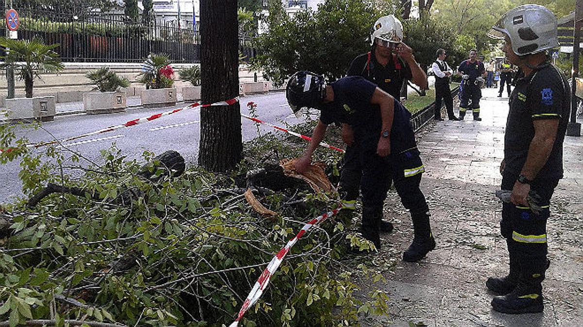 Tres heridos, uno de ellos grave, tras caer una rama de un árbol en Madrid
