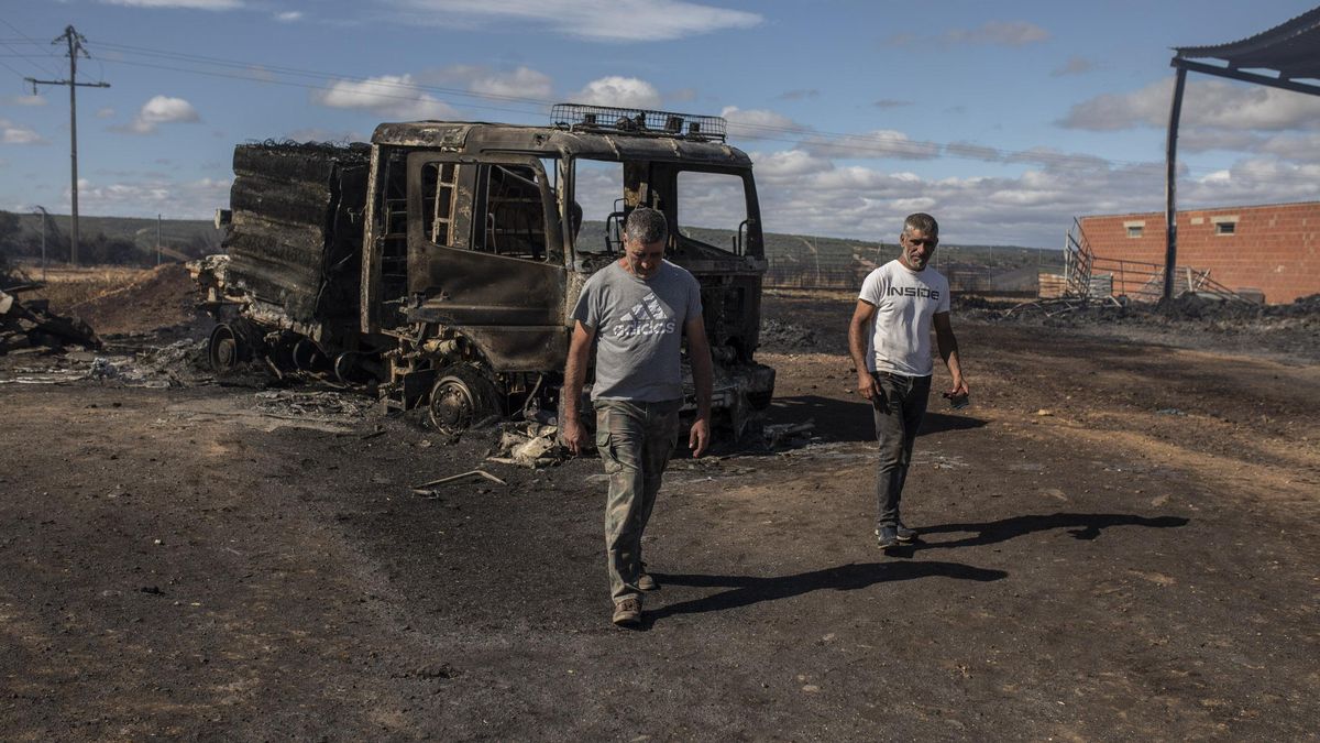 Los hermanos Rey en la explotación de Vegalatrave arrasada por las llamas