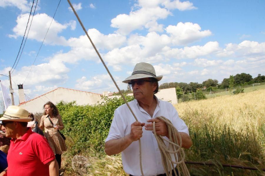 Romería de la Virgen del Castillo en Fariza