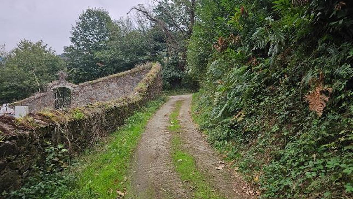 Camino de acceso al cementerio de Tebongo.