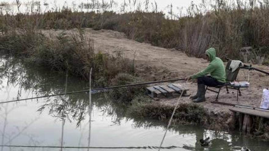 Unas anátidas cruzan por delante de la línea de un pescador y, al fondo, un grupo de flamencos.