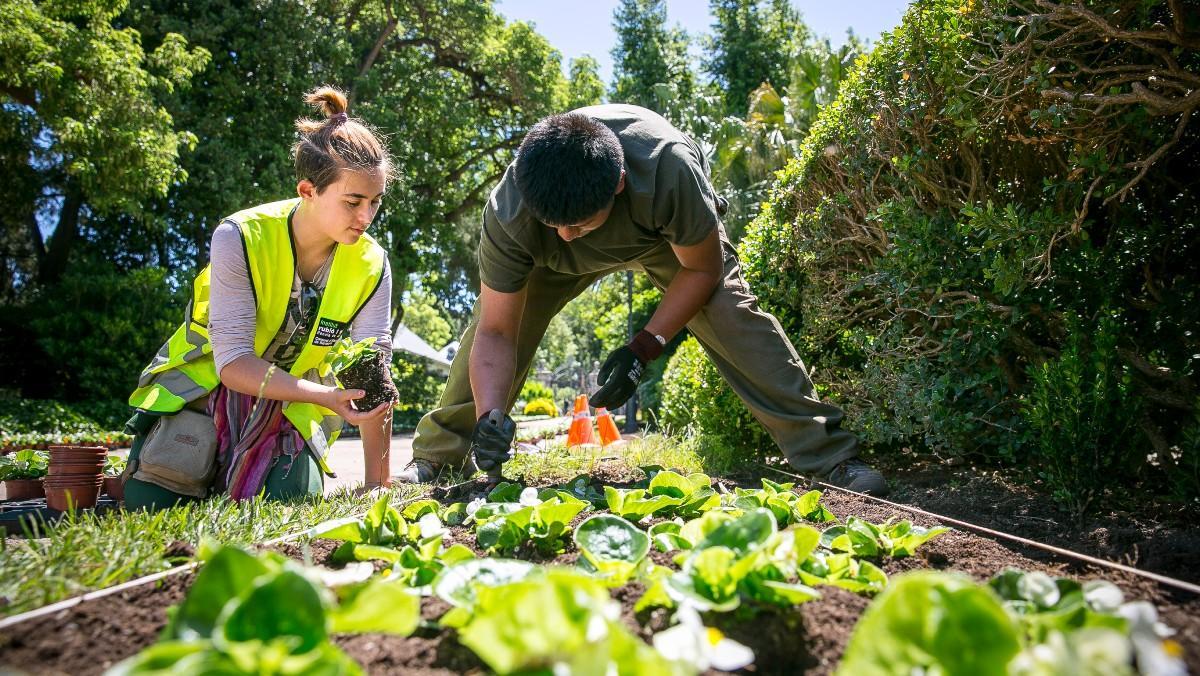Los Jardins de Joan Maragall son uno de los puntos donde se están plantando parte de las 55.000 flores previstas en el plan Cuidem Barcelona. Los Jardins de Joan Maragall son uno de los puntos donde se están plantando parte de las 55.000 flores previstas en el plan Cuidem Barcelona.
