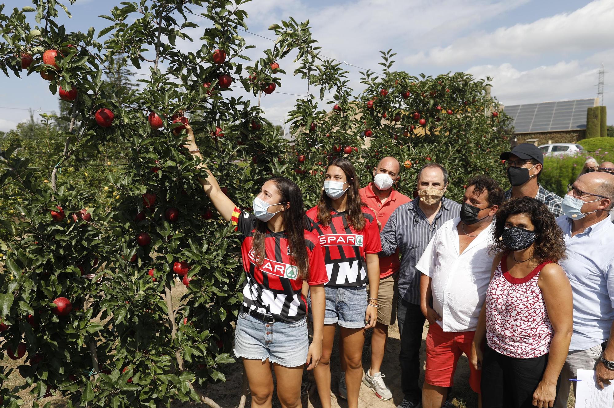 Bàsquet i pomes de Girona planten cara als poderosos