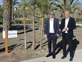 El rector de la UMH demanda el uso generalizado de la cirugía de pulmón de su nuevo Honoris Causa